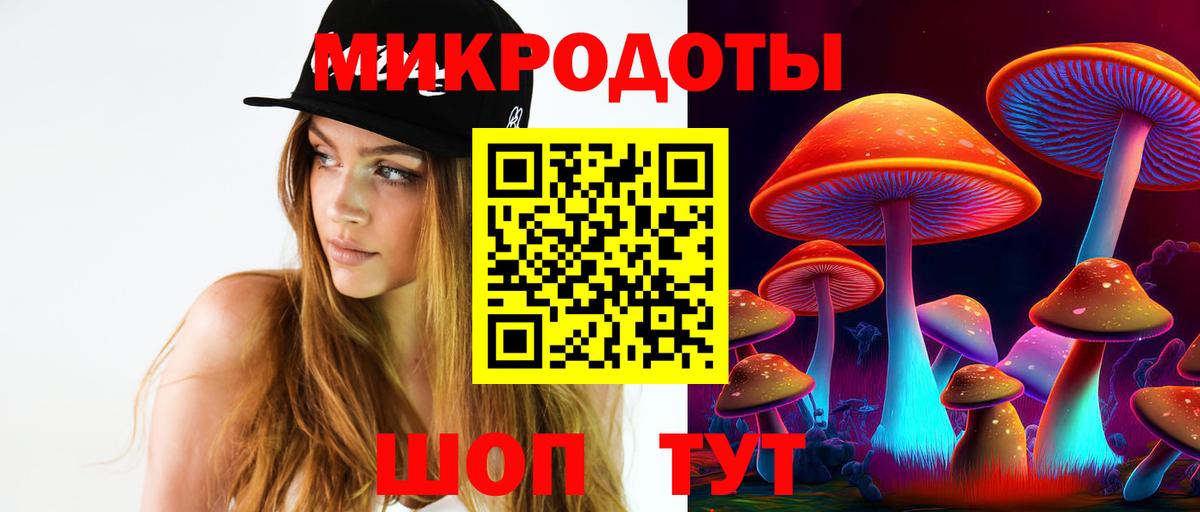 Галлюциногенные грибы Cubensis Полевской